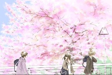 pr九天狐v最新版